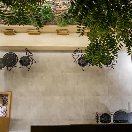 Frida Kahlo - Le Petit Bati ヴォロス