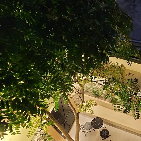 Frida Kahlo - Le Petit Bati