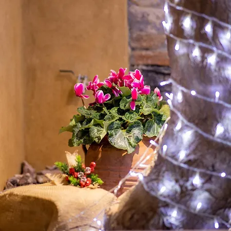 Frida Kahlo - Le Petit Bati アパート *