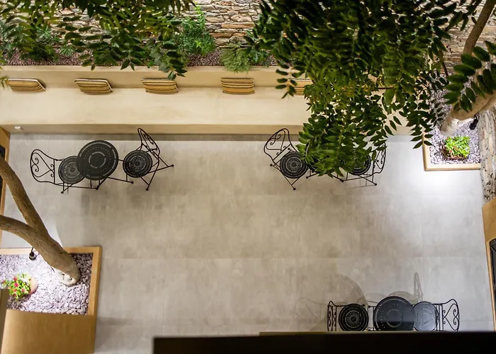 Frida Kahlo - Le Petit Bati Volos