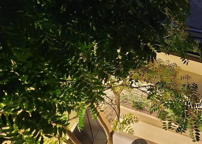 Frida Kahlo - Le Petit Bati