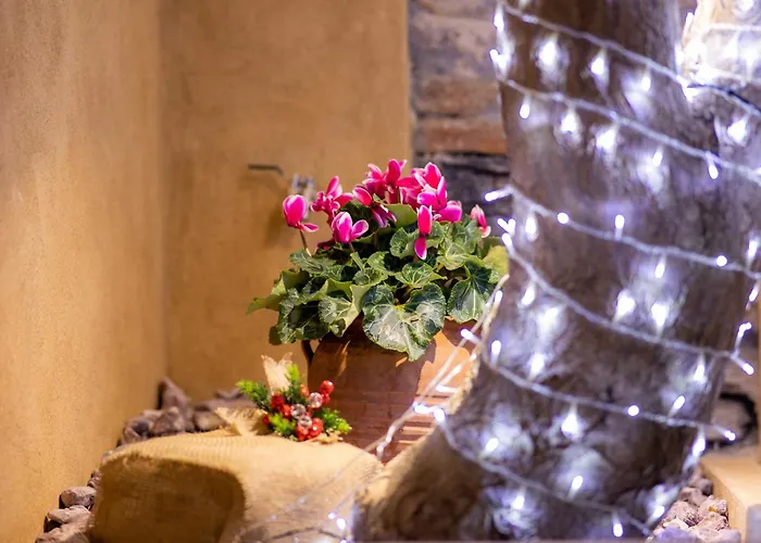 Frida Kahlo - Le Petit Bati Lägenhet *