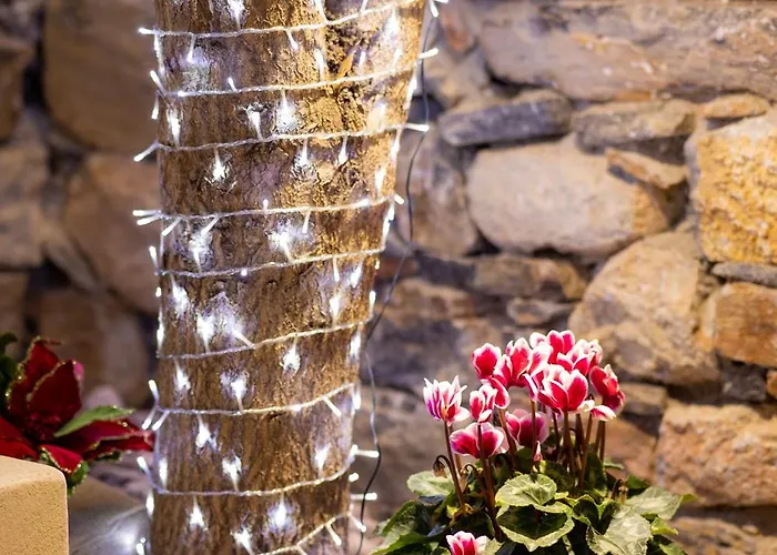 Frida Kahlo - Le Petit Bati Lägenhet