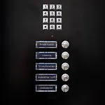 Frida Kahlo - Le Petit Bati