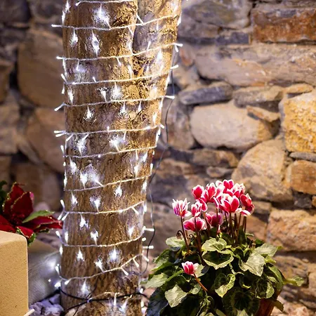 Frida Kahlo - Le Petit Bati Lejlighed